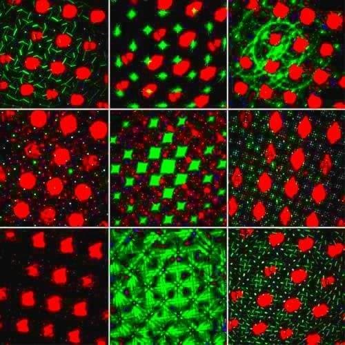 Диско свет. Диско оформление
